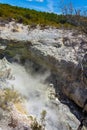 Crater at Wai-O-Tapu or Sacred Waters Ã¢â¬â Thermal Wonderland Rotorua New Zealand Royalty Free Stock Photo